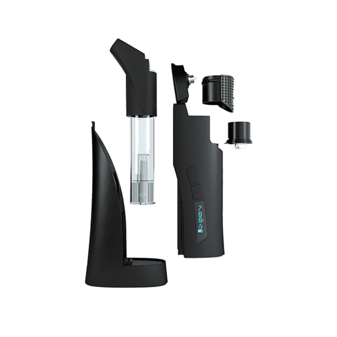 G Pen - Roam - Vaporizador Herbal - Grenco Science | VH-GS-ROA-BK