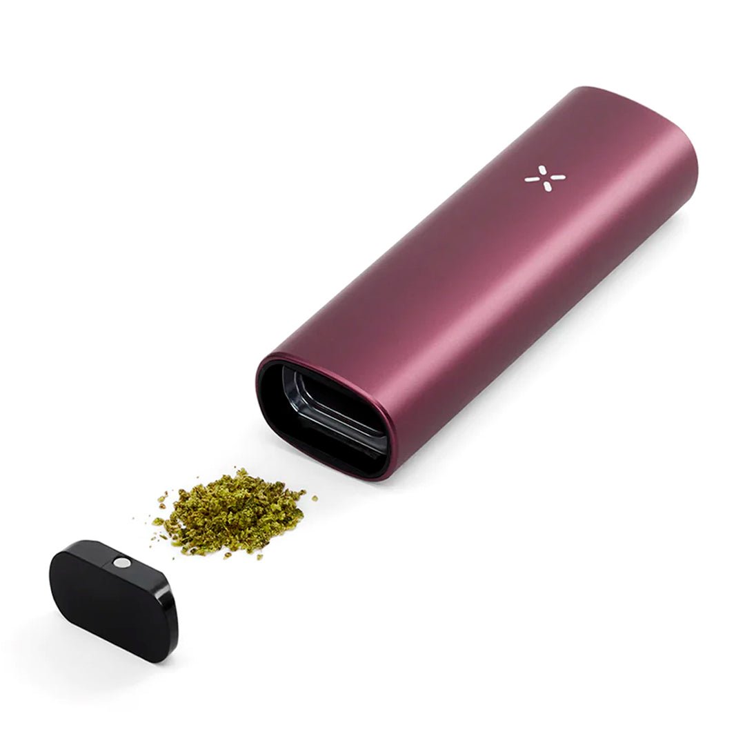 PAX PLUS KIT - Vaporizador Herbal - PAX | VH-PAX-PLK-ELD